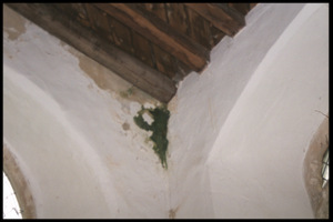 Roof Damp